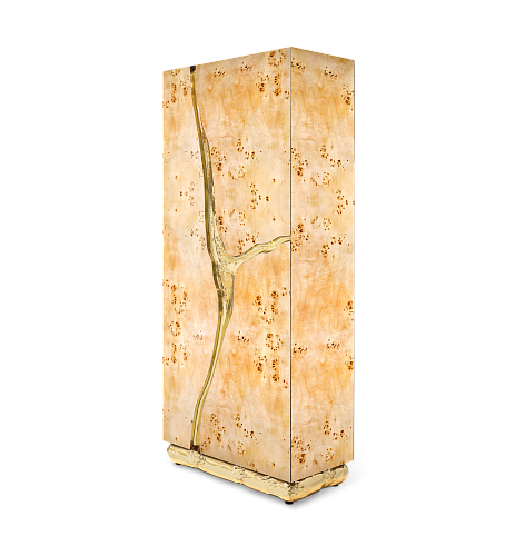 Fissure populieren kast