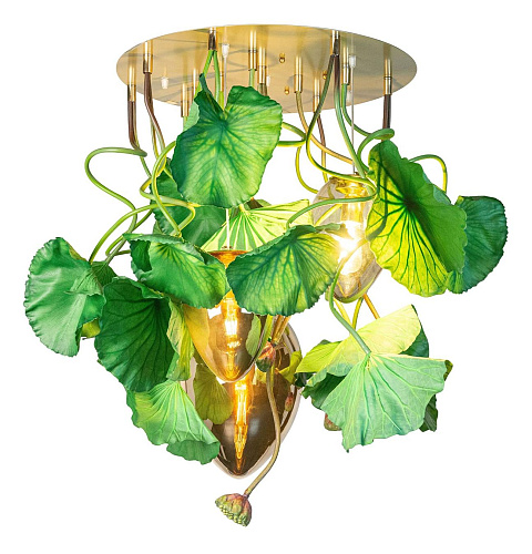Dichondra ronde kroonluchter
