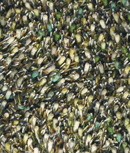 Spring shaggy tapijt