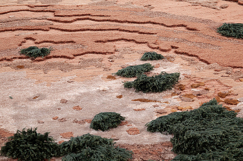 Art Deco Caramel tapijt