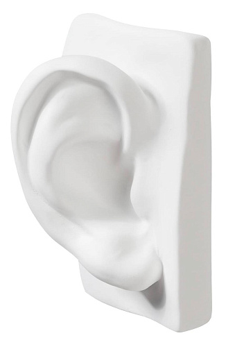 David Ear sculptuur