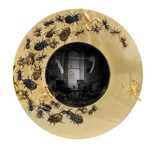 Convex Evolution spiegel