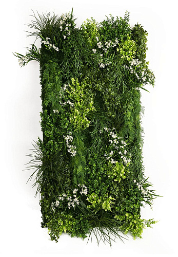 Meleda buitenste groenewandcompositie