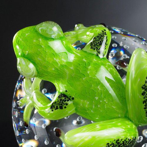 Kikker op bol groene figuur