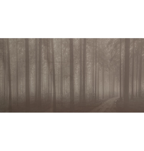 Night Forest behang
