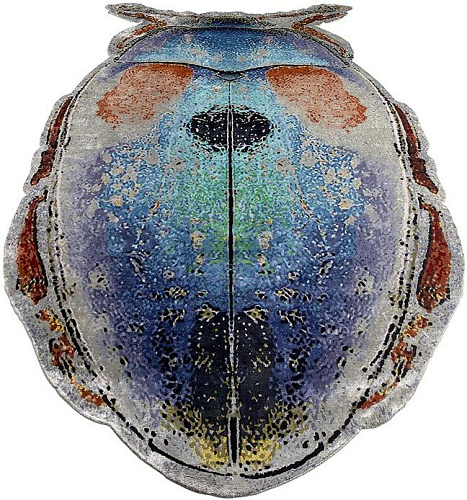Scarab handgeknoopt tapijt