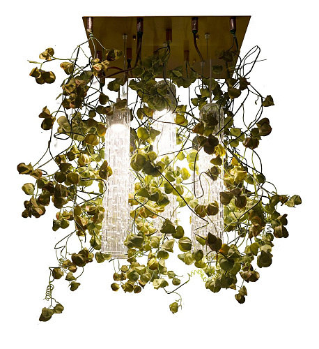 Physalis kroonluchter