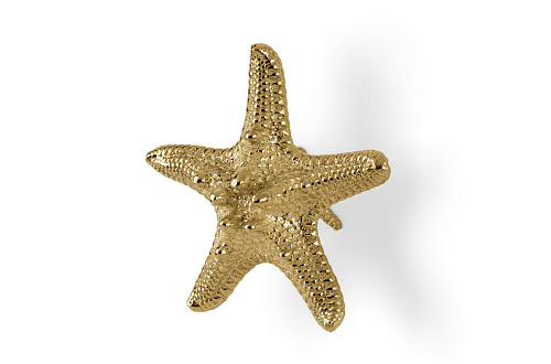 Starfish Linckia handgreep