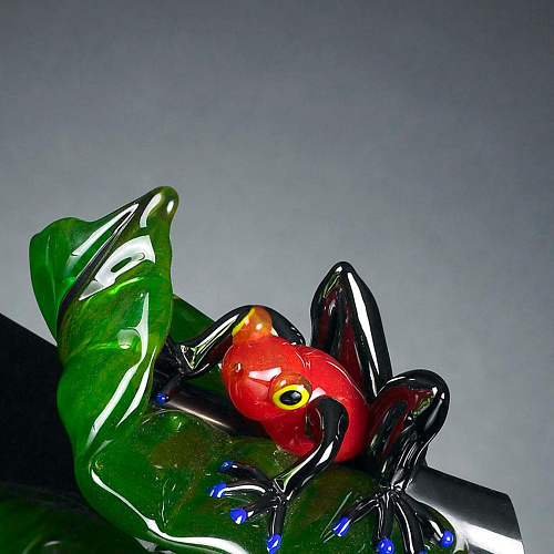 Rode kikker op blad figuur