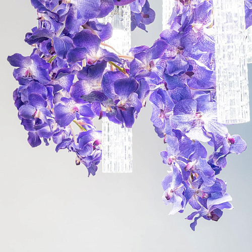 Vanda grote kroonluchter