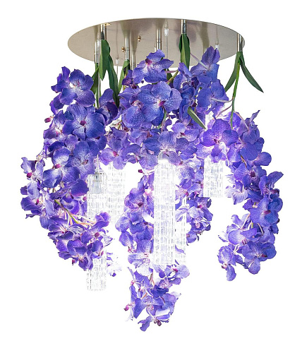 Vanda grote kroonluchter