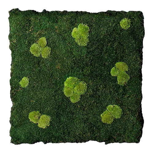Flatmoss & Polemoss wandcompositie