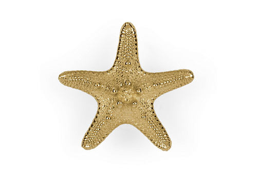 Starfish Linckia handgreep